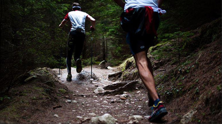 Trail